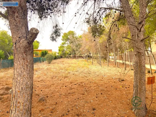 Terreno urbano de 0,2795 ha en venta en Murcia, Murcia