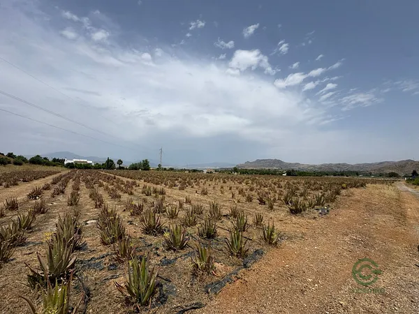Finca agrícola de 8,1 ha en venta en Cartama, Malaga