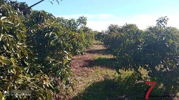 Finca agrícola de 0,47 ha en venta en Puntallana, Tenerife