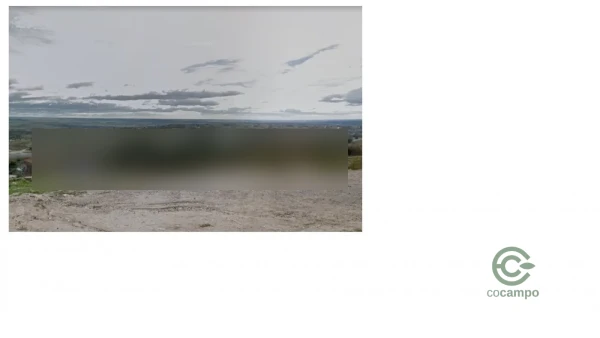 Terreno urbano de 1,3657 ha en venta en El molar, Madrid