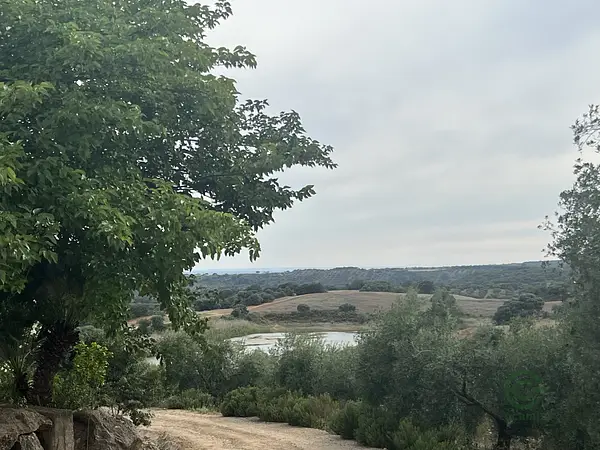 Finca rústica de 133 ha en venta en Sevilla