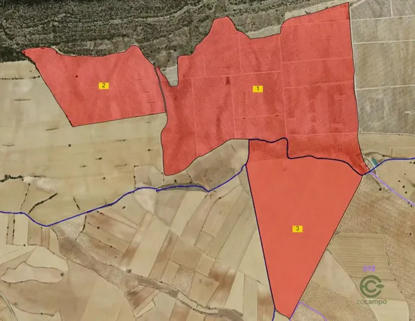 Finca agrícola de 165 ha en venta en Albacete