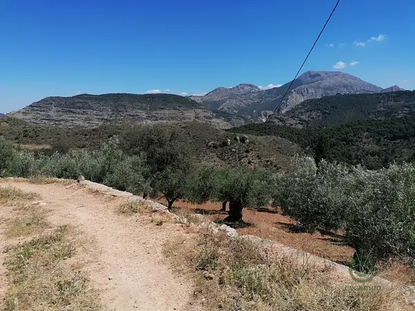 Finca de recreo de 106 ha en venta en Málaga