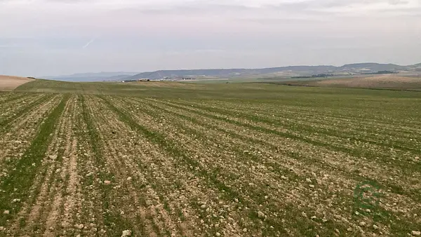 Finca rústica de 350 ha en venta en Cuenca