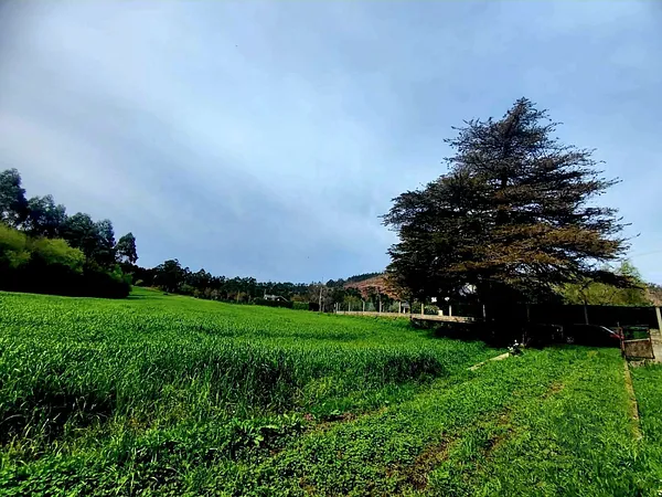 Terreno urbano de 0,1718 ha en venta en Valdes, Asturias
