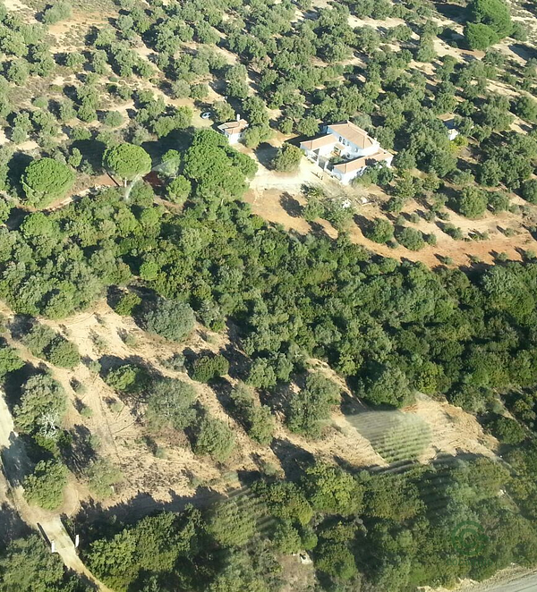 Finca rústica de 14 ha en venta en Cádiz