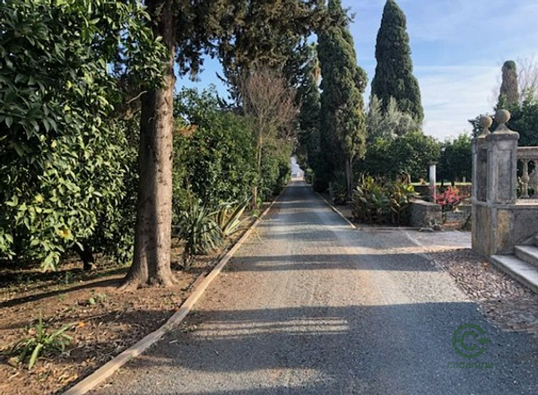 Finca agrícola de 4,2 ha en venta en Sevilla