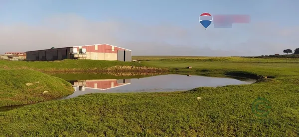 Finca rústica de 6,5 ha en venta en Brozas, Caceres