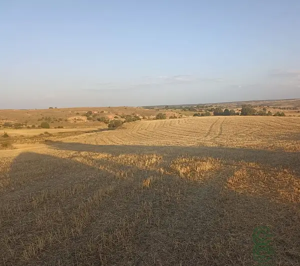 Finca agrícola de 4,7 ha en venta en Burgos