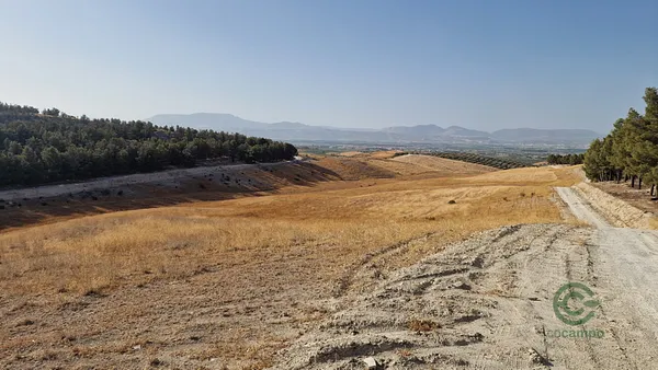 Finca agrícola de 21,1056 ha en venta en Santa fe, Granada