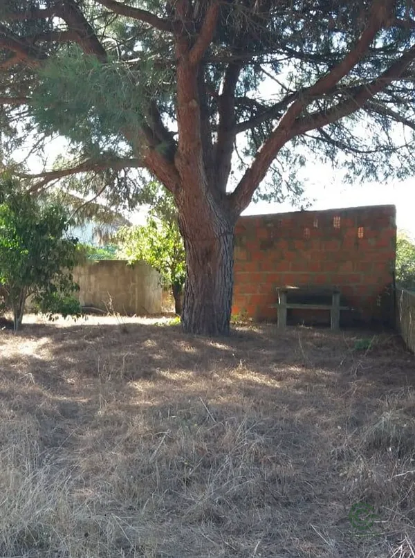 Finca rústica de 0,1252 ha en venta en Quinta do anjo, Setúbal