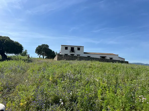 Finca rústica de 14 ha en venta en Cádiz