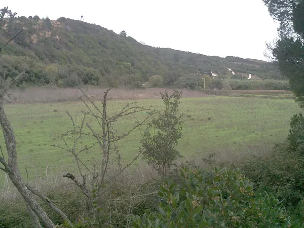 Fazenda rustica de 3,51 ha para venda em Faro