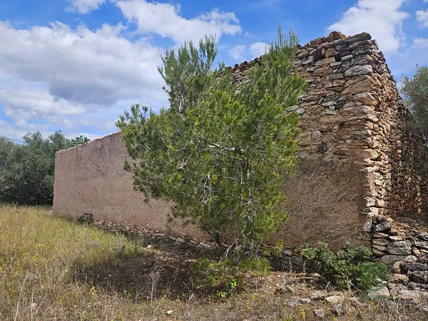 Finca rústica de 1,9468 ha en venta en Tarragona