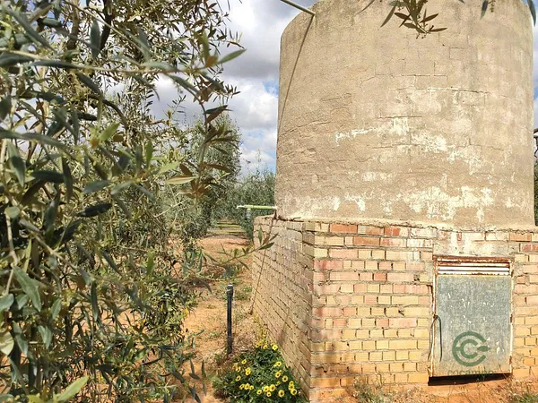 Finca rústica de 0,64 ha en venta en Pilas, Sevilla