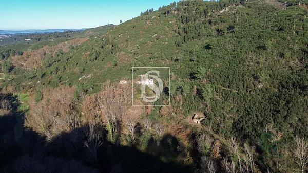 Finca rústica de 19 ha en venta en Amarante, Porto