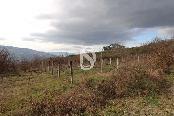 Finca rústica de 4,89 ha en venta en Amarante, Porto