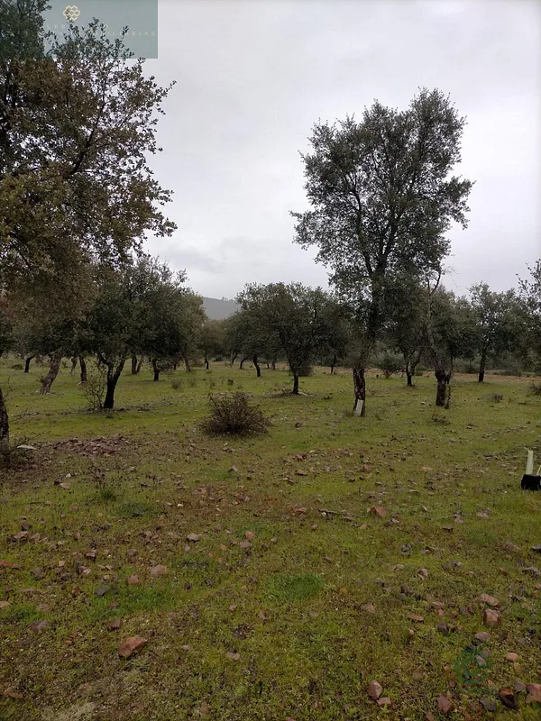 Finca rústica de 142 ha en venta en La nava de santiago, Badajoz