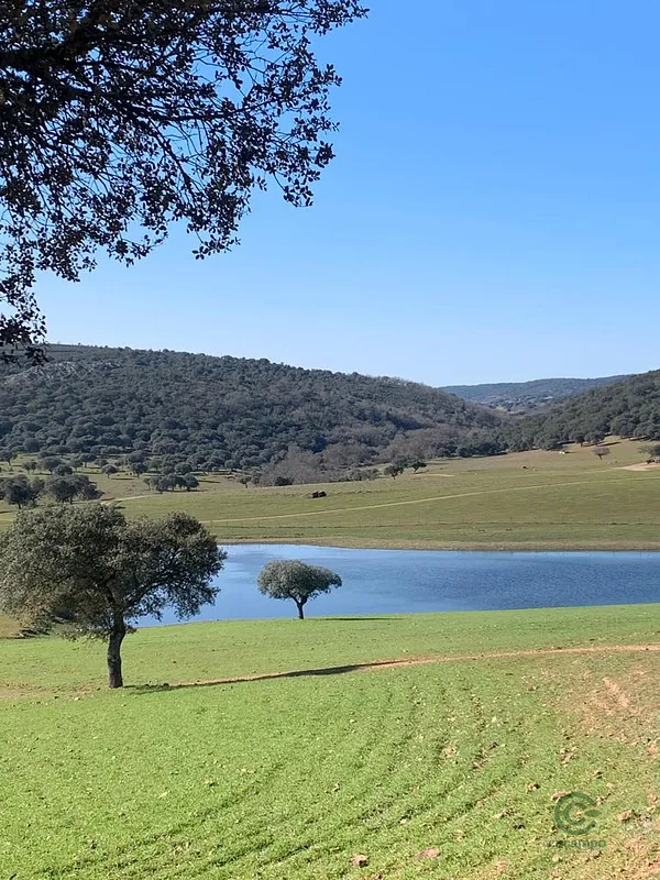 Finca rústica de 840 ha en venta en Ciudad real