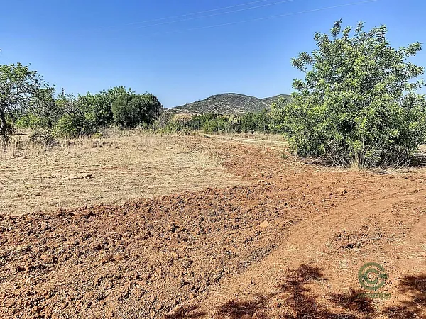 Fazenda agrícola de 1,2 ha para venda em Faro