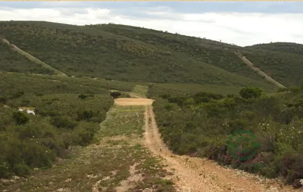 Finca rústica de 1036 ha en venta en Ciudad real