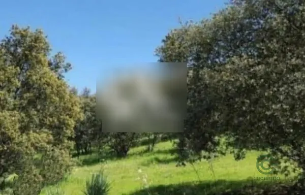 Terreno urbano de 0,15 ha en venta en Córdoba, Córdoba