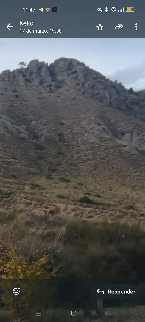 Finca rústica de 5,94 ha en venta en Murcia