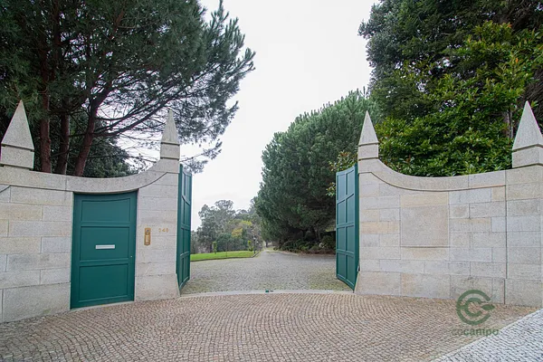 Finca rústica de 5,91 ha en venta en Oliveira de azeméis, Aveiro