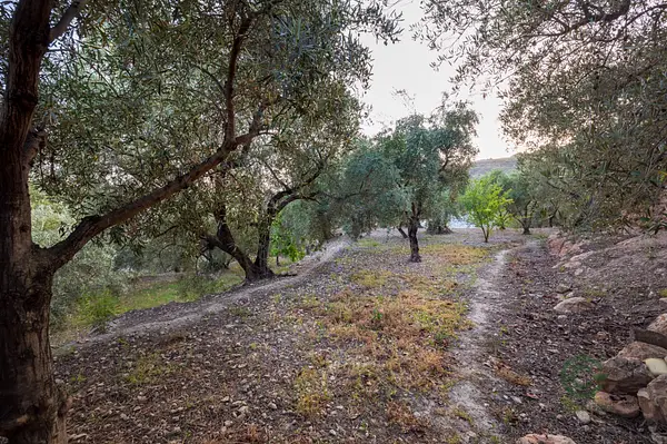 Finca rústica de 0,5304 ha en venta en Lanjaron, Granada