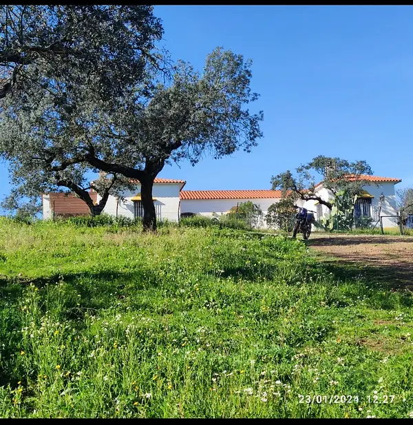 Finca rústica de 13 ha en venta en Badajoz