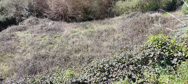 Terreno urbano de 0,21 ha en venta en Alonsotegi, Vizcaya