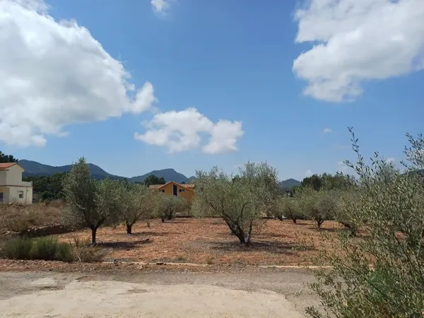 Finca rústica de 0,08 ha en venta en Castellón