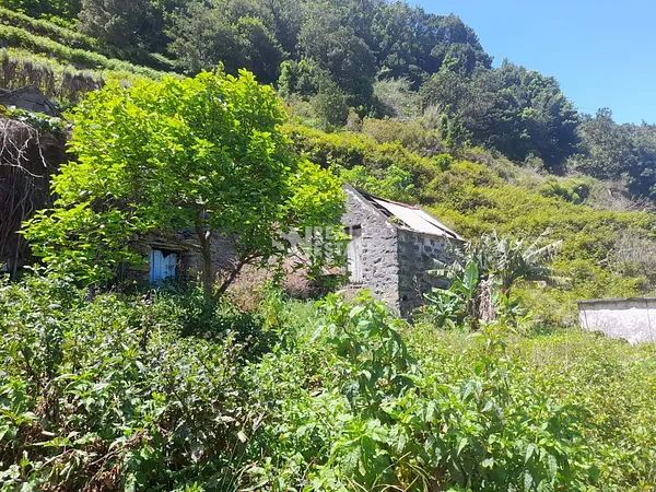 Finca rústica de 0,039 ha en venta en Seixal, Ilha da madeira