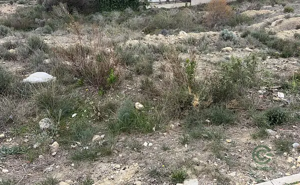 Terreno urbano de 0,081 ha en venta en Molina de segura, Murcia