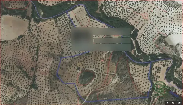 Finca agrícola de 9,8569 ha en venta en Olvera, Cadiz