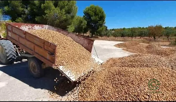 Finca rústica de 37 ha en venta en Yecla, Murcia
