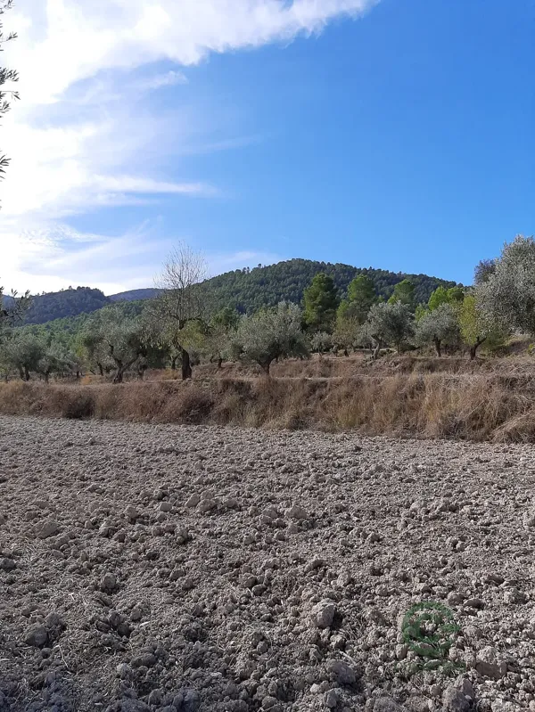 Finca rústica de 280 ha en venta en Alicante