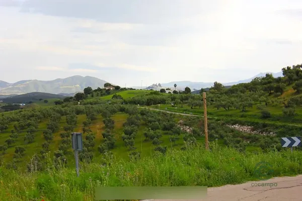 Finca rústica de 65 ha en venta en Olvera, Cadiz