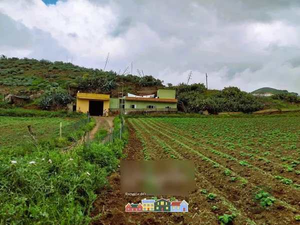 Finca rústica de 2,2 ha en venta en Las palmas