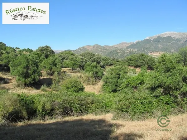 Finca rústica de 7,5018 ha en venta en Cortes de la frontera, Málaga