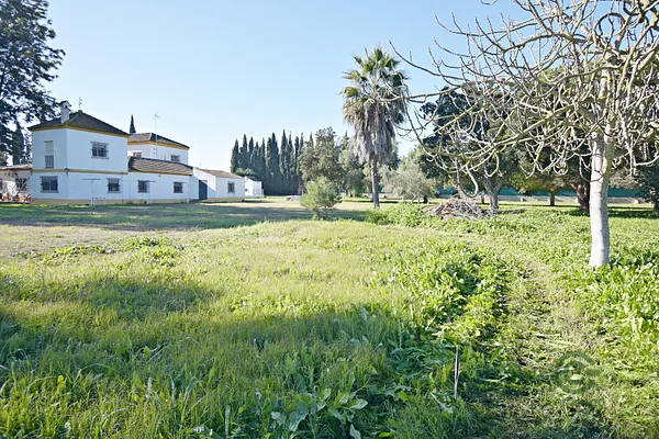 Finca rústica de 1,25 ha en venta en Jerez, Cadiz