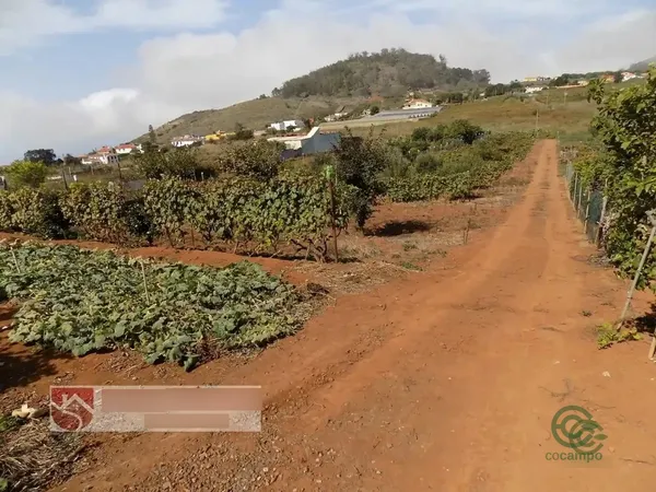 Finca rústica de 0,45 ha en venta en Tacoronte, Sta.cruz tener.