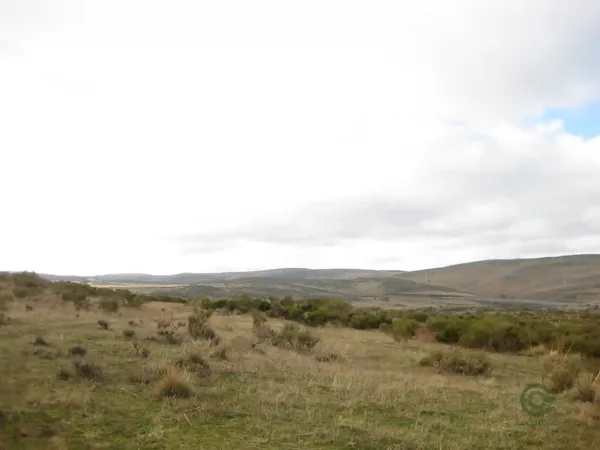 Finca rústica de 216 ha en alquiler en Ávila