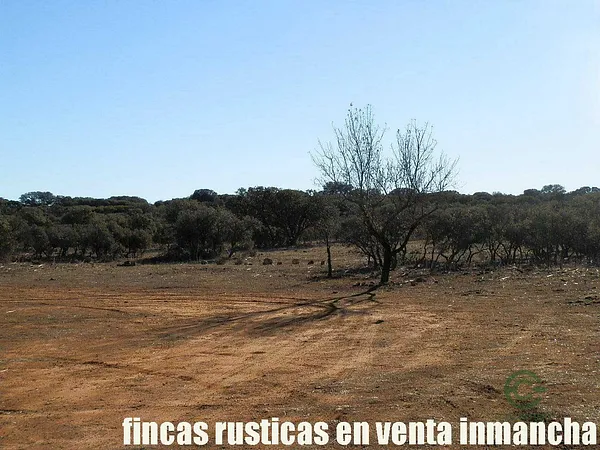 Finca rústica de 106 ha en venta en Toledo