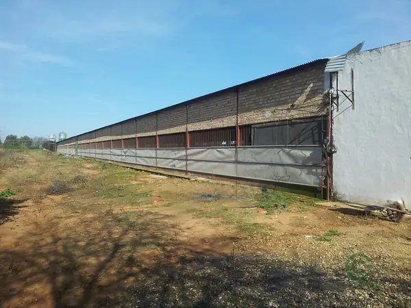 Finca rústica de 1,65 ha en venta en Sevilla