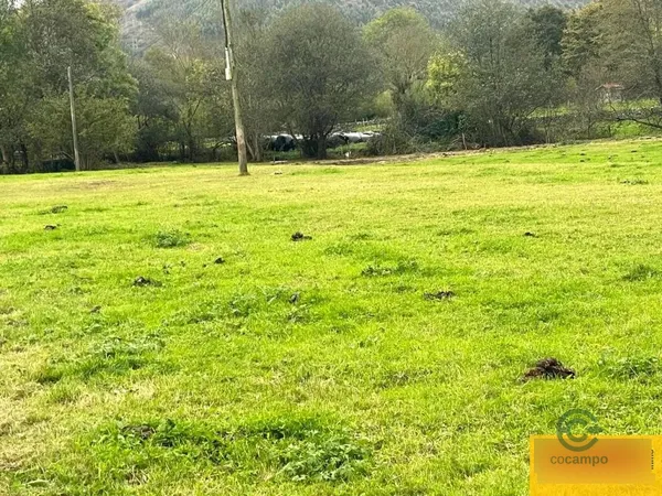 Terreno urbano de 0,9 ha en venta en Ruente, Cantabria
