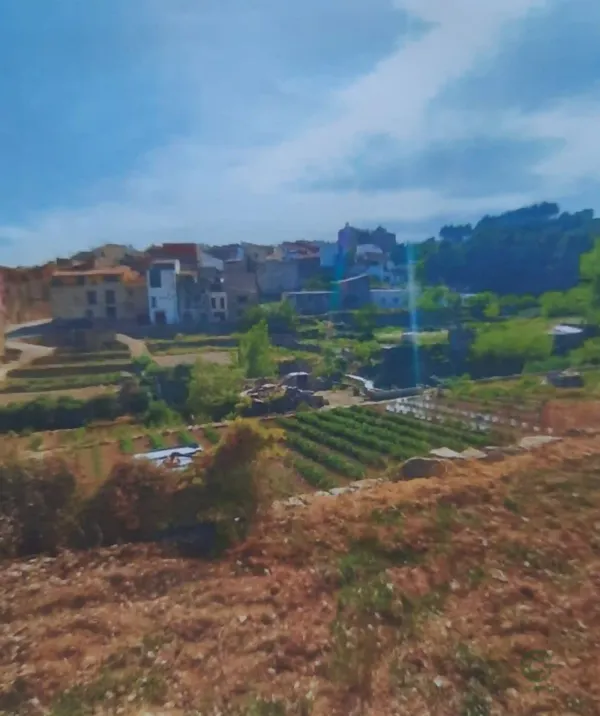 Terreno urbano de 0,0501 ha en venta en Chert - xert, Castellon