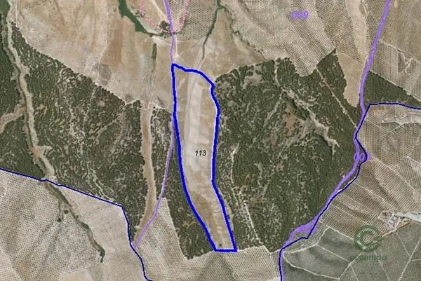 Finca agrícola de 21 ha en venta en Santa fe, Granada