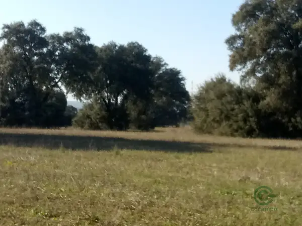 Finca rústica de 30 ha en venta en Toledo