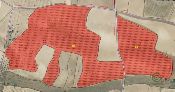 Finca agrícola de 18 ha en venta en Toledo